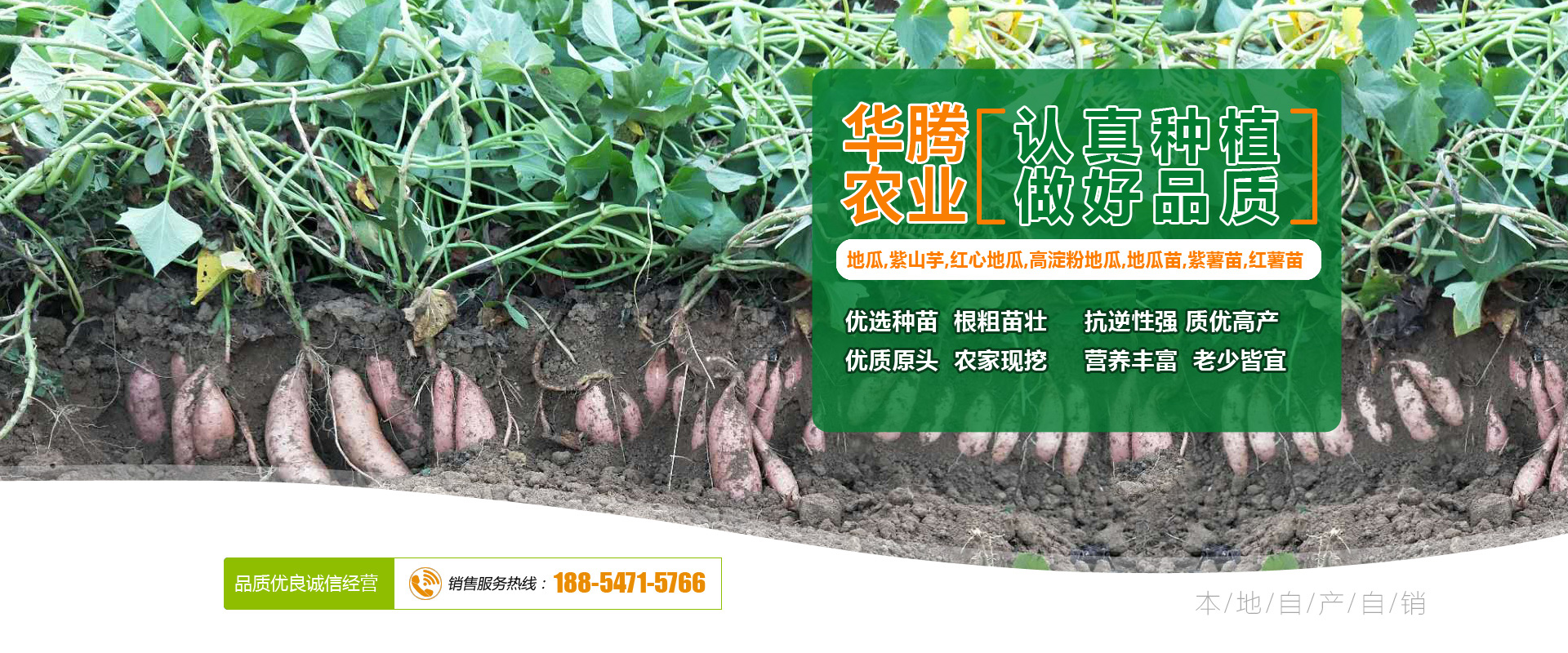 濟寧華騰農業