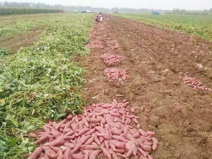 發貨現場
