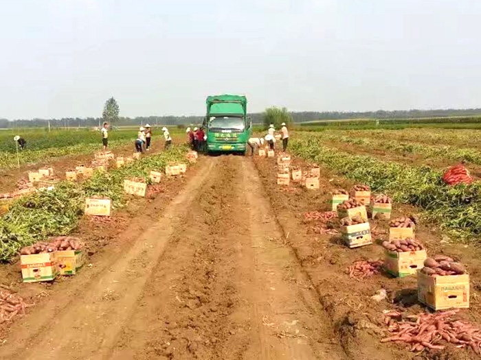 發貨現場