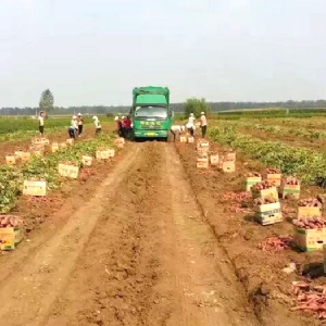 發貨現場